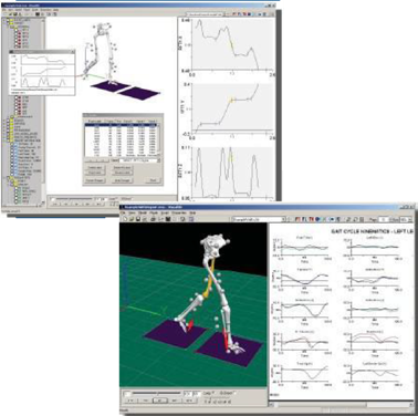ViSVAL 3D™—用于分析源于运动捕捉系统采集的二维数据